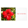 Really Red Photo Cards