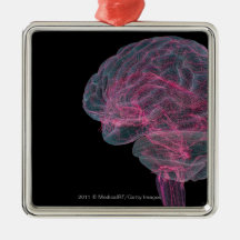 Rear view of the human brain christmas ornaments