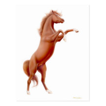 Rearing Chestnut Horse Postcard