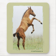 Rearing Colt Mouse Pads