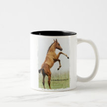 Rearing Colt Mugs