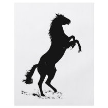 Rearing Horse Flyers