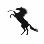 Rearing horse photo sculptures