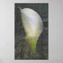 Rebirth Print