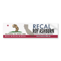 Recall Roy Ashburn Bumper Sticker