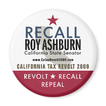 Recall Roy Ashburn Magnet