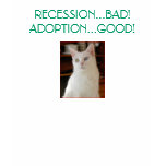 Recession...Bad! Adoption...Good! t-shirts
