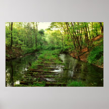 Reclaimed II Print