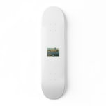 Recovered_JPEG Digital Camera_695 skateboards