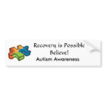 Recovery is Possible, Believe! bumper stickers