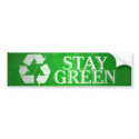 Recycle, Stay Green Bumper Sticker bumper stickers