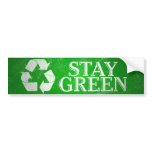 Recycle, Stay Green Bumper Sticker bumper stickers