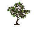 Recycle Symbol Tree Womens T-shirt