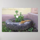 Recycled Posters