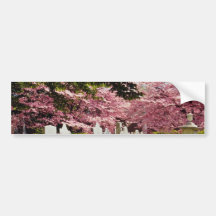 Red 18th century colonial graveyard flowers bumper sticker