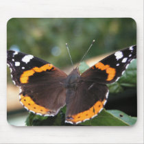 Red Admiral Butterfly Mouse Pad