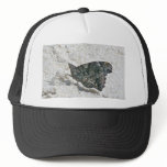Red Admiral Butterfly on Beach Coordinating Items hats