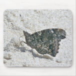 Red Admiral Butterfly on Beach Coordinating Items mousepads
