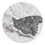Red Admiral Butterfly on Beach Coordinating Items stickers