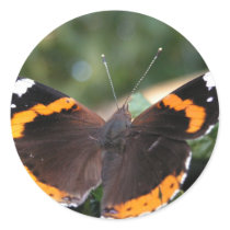 Red Admiral Butterfly Sticker