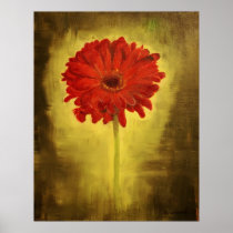 Red African Daisy Print