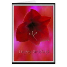 Red Amarilla/ Happy Birthday Card