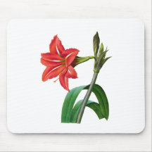 Red Amaryllis by Pierre Joseph Redoute Mousepad