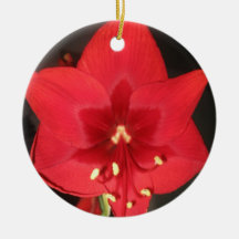 Red Amaryllis Flower Ornament