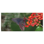 Red and Black Butterfly Wedding Program rack cards