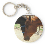Red and Black Horse Friends Share a Secret keychains