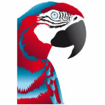 RED AND BLUE MACAW PARROT PHOTO SCULPTURE