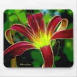 Red and Curly ~ a Daylily Mousepad