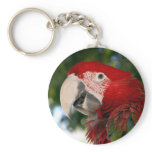 Red and Green Macaw Keychain