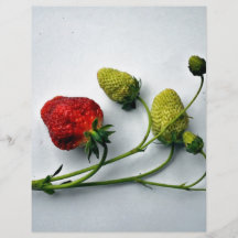 Red and Green Strawberries Personalized Flyer