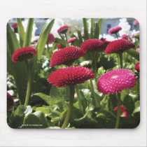 Red and Pink Bellis Perennis Daisies Mousepad