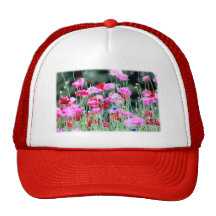 Red and Pink Poppies Mesh Hats