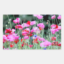 Red and Pink Poppies Rectangular Sticker