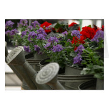 red and purple flowers in watering cans card