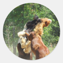 Red and Tango at Play Stickers