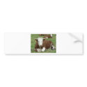 Red And White Cow On Green Grass bumper stickers