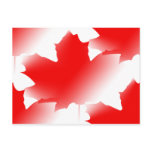 Red and White Maple Leafs postcards