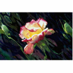 Red and white rose and buds, incandescent water gl photo sculptures