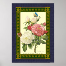 Red and White Roses Botanical Poster