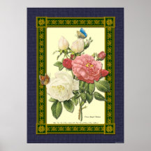 Red and White Roses Botanical Poster
