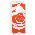 Red and White stark rose bloom graphic rack cards