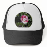 Red and White Striped Rose hats
