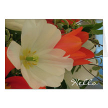Red and White Tulips Notecard