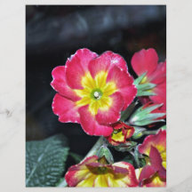 Red and Yellow Flowers Custom Flyer