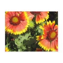 Red and Yellow Flowers Postcard
