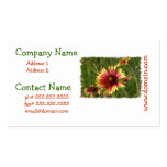Red and Yellow Gaillardia Business Card